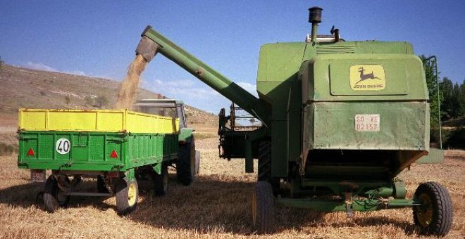 El Gobierno asegura que el precio de los cereales "ya se está normalizando"