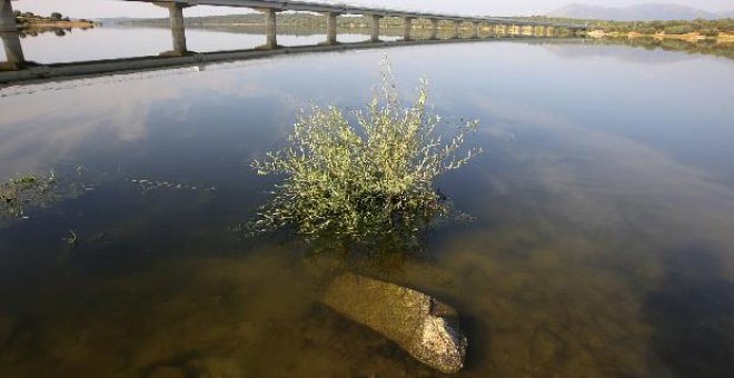 Lluvias propician un aumento de la reserva de los embalses, que están al 41,9%