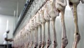 China confirma que hubo contagio entre humanos en el último caso de gripe aviar