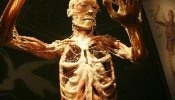 Llega a Madrid "Bodies", exposición de cadáveres reales