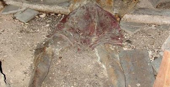 Hallan el cadáver de un hombre de unos 30 años en las murallas de Palma