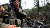 Colombia acusa a Ecuador y Venezuela de apoyar a las FARC