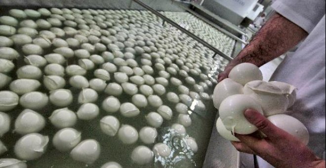 Japón reanuda la importación de mozzarella salvo la de la región de Campania