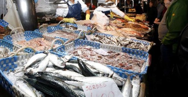 Los pescados fueron los productos frescos que más bajaron en marzo