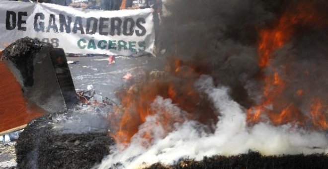 Cientos de ganaderos reclamaron hoy al Gobierno medidas que frenen su crisis