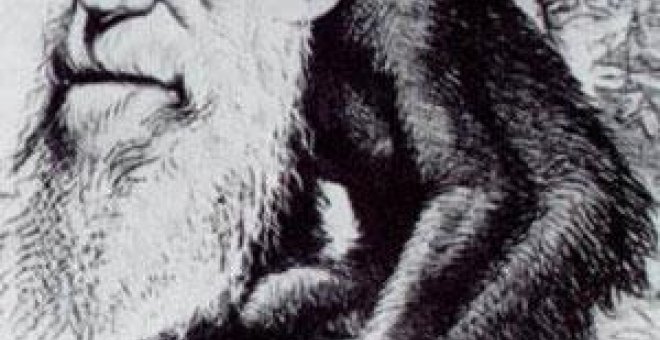 El pensamiento de Darwin evoluciona a la Red