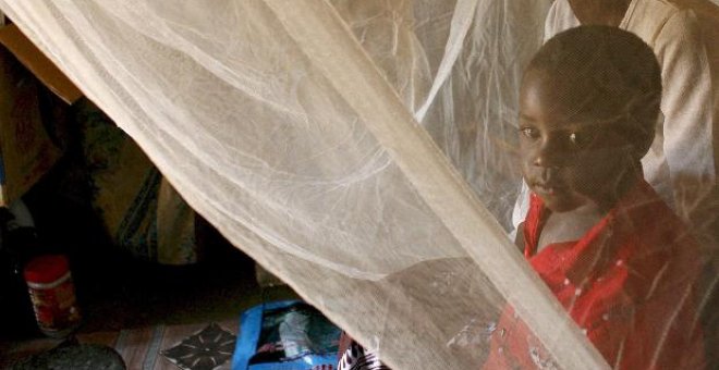 La malaria, una enfermedad evitable que cada año mata a 2 millones de personas