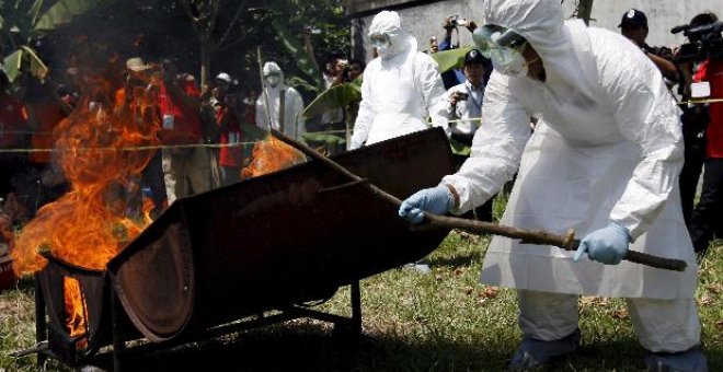 Indonesia producirá vacunas contra la gripe aviar para humanos a partir de 2011