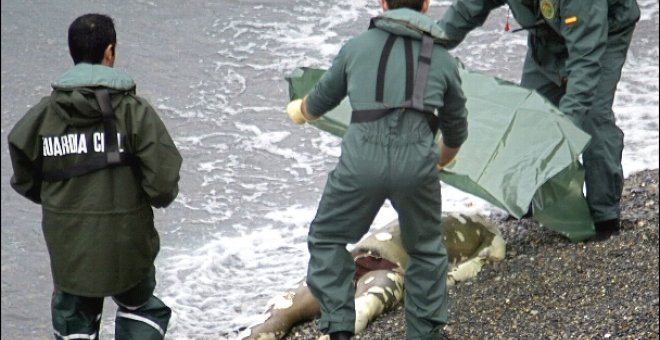 Aparece el cuerpo sin vida de un hombre flotando en un estanque de Las Palmas