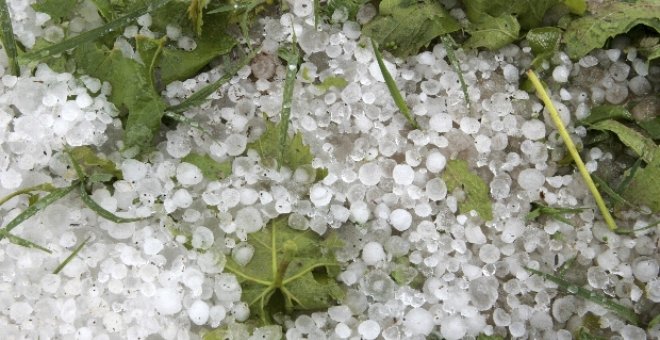 La tormenta provoca cuantiosos daños en el viñedo entre Navarrete y Fuenmayor