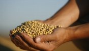 El Banco Mundial aprueba 1.200 millones de dólares para aliviar la crisis alimentaria