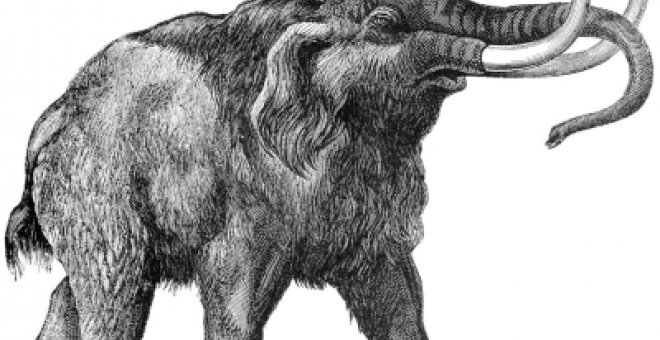 Dos clanes de mamuts rivalizaron en Siberia