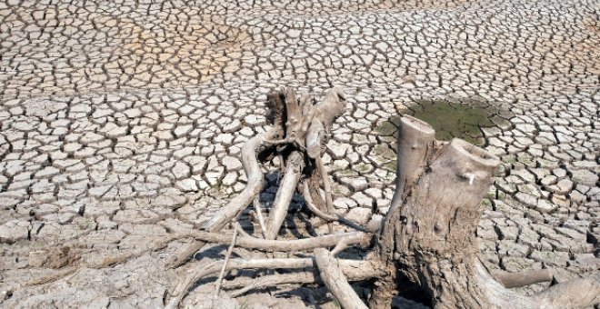 La erosión crece y afecta a un 20% de las tierras agrícolas y al 30% de bosques