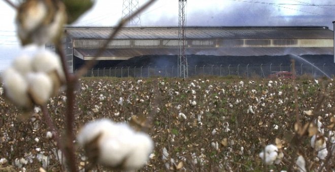 Brasil pedirá una sanción millonaria para EEUU por los subsidios al algodón