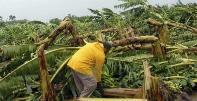 El huracán Gustav se debilita en el Golfo de México