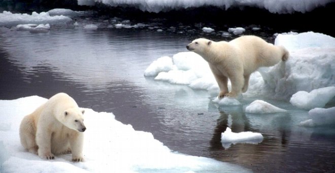 Una plataforma de hielo se desprende en el Ártico por el cambio climático