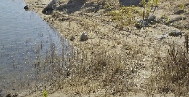 La reserva de agua mantiene la tendencia a la baja con una nueva caída de casi un punto