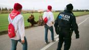 Un grupo de jóvenes de la localidad Mallorquina de Muro se divierte decapitando gallos