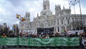 Estudiantes y profesores vuelven a manifestarse contra la reforma universitaria de Wert