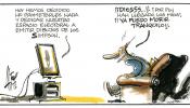 Elecciones