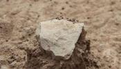 Homínidos de hace 3,3 millones de años usaron herramientas de piedra