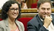 Junqueras se ofrece a Mas: ERC está "al servicio del Govern"