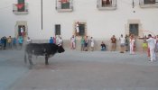 Coria podría ser multada con 30.000 euros por disparar a un toro violando la Ley de Seguridad Ciudadana