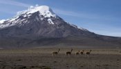 Hallan en un volcán de Ecuador a tres alpinistas muertos hace dos décadas