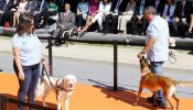 La ONCE rinde homenaje a las 3.000 familias educadoras de perros guía