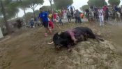 Tordesillas celebra su primer Toro de la Peña tras la prohibición