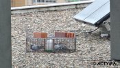 Trampas para aves en la azotea de una delegación del INE en Tarragona