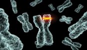 Científicos descubren que el ADN 'basura' determina la evolución del cáncer