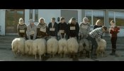 La película islandesa 'Hrútar (El valle de los carneros)', Espiga de Oro en la 60ª Seminci