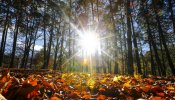 El otoño comenzará este jueves 22 de septiembre y el 30 de octubre se cambiará la hora