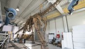 Los escultores de dinosaurios se forman en Teruel