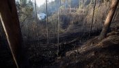 Tres incendios se avivan en Asturias mientras continúan las tareas de extinción