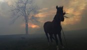 La lluvia da una tregua a la lucha contra los incendios en Cantabria