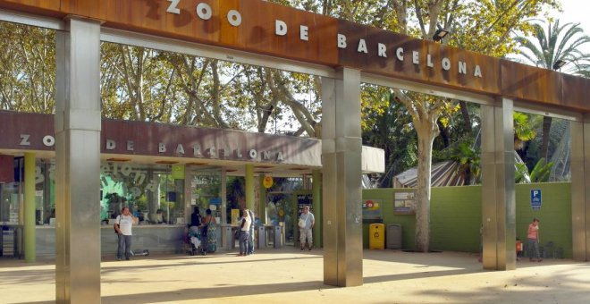El Zoo de Barcelona i el Parc del Tibidado s'afegeixen a l'allau de tancaments pel coronavirus
