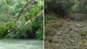 Un río desaparece de la noche a la mañana en México