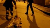 Un vídeo muestra cómo unos funcionarios marroquíes matan a balazos a perros callejeros