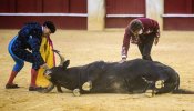 Veterinarios antitaurinos piden que estos profesionales dejen de implicarse en corridas de toros