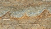 Hallan los fósiles más antiguos conocidos hasta ahora