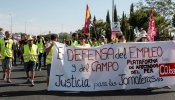 Las graves sanciones de Empleo a 2.000 jornaleros andaluces por una falsa “estafa” de sus peonadas