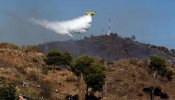 Declarado un incendio forestal en Málaga