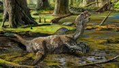 El dinosaurio más desafortunado del mundo murió atrapado en el barro