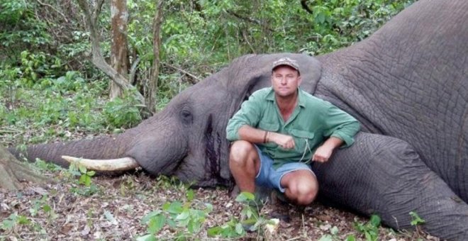 Muere un cazador profesional sudafricano aplastado por un elefante