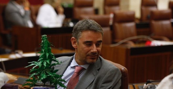 El Parlamento andaluz rechaza pedir la regulación del cannabis para el ocio