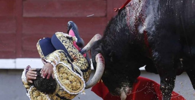 La tradición taurina dicta que la familia de un toro que ha matado a un torero debe ser sacrificada