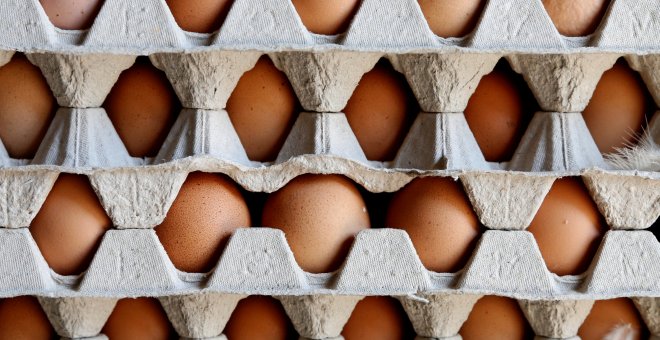 Francia prohibirá la venta de huevos criados en jaulas a partir de 2022
