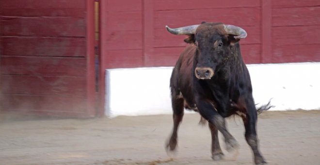 El Gobierno seguirá dotando con 30.000 euros el Premio Nacional de Tauromaquia